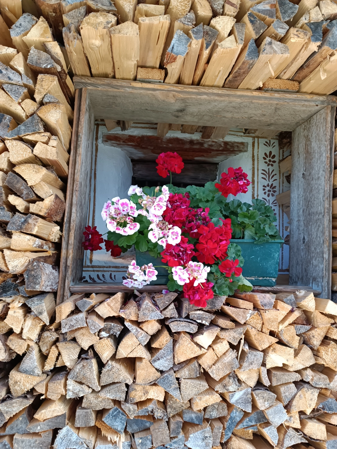 AUTHENTISCHE MEDIEN, wunderschöne Blumenfotografie